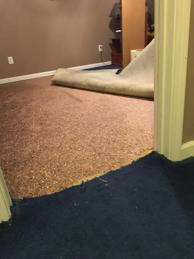 Carpet pad removal revealing water damage during Drying & Dehumidification in Horizon West