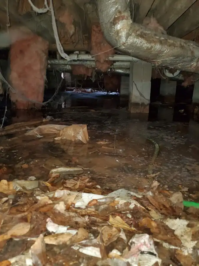 Crawl space flood assessment for Leak Detection & Repair in Horizon West